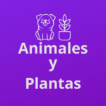 Animales y plantas